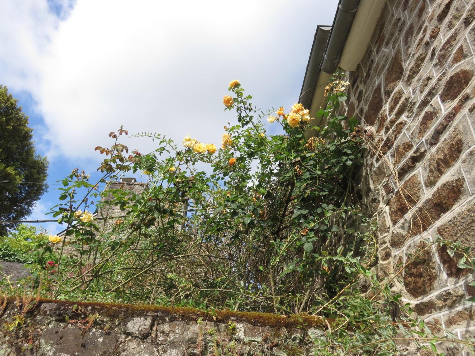 Bed and Breakfast Le Jardin A Mordreuc Pleudihen-sur-Rance Zewnętrze zdjęcie